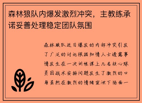 森林狼队内爆发激烈冲突，主教练承诺妥善处理稳定团队氛围